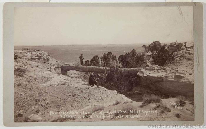 Ben Wittick. “View of the Natural Bridge, Agatized Tree, 160 ft Exposed, Chalcedony Park (Petrified Forest, Arizona.” Medicine Man Gallery.