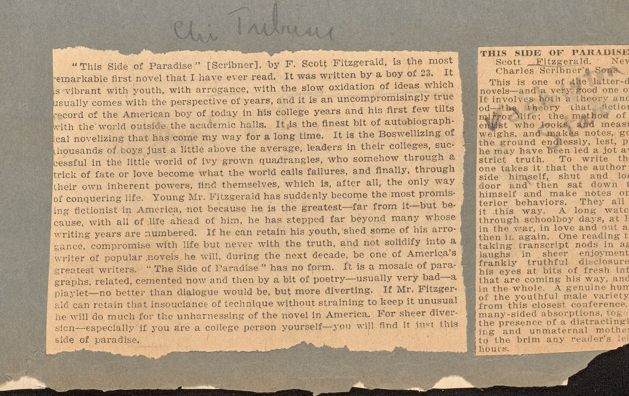 A closer look at the Chicago Tribune's review of This Side of Paradise, which would be quoted by other reviewers during the book's time in the spotlight.