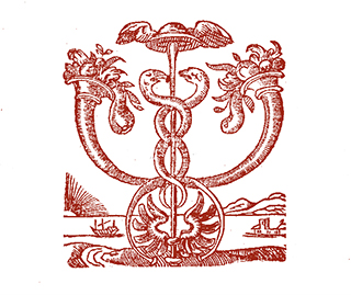 Vignette: Lapidus 5.1303