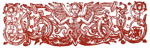 Headpiece: Lapidus 1.20 EX 