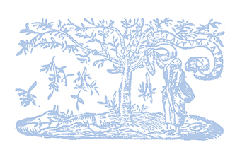 Vignette: Lapidus 5.1282