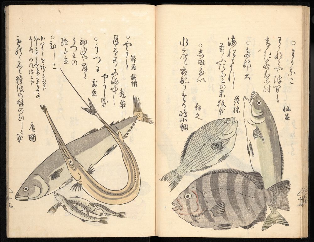 Multiple block color printing of sea creatures surrounded by script.