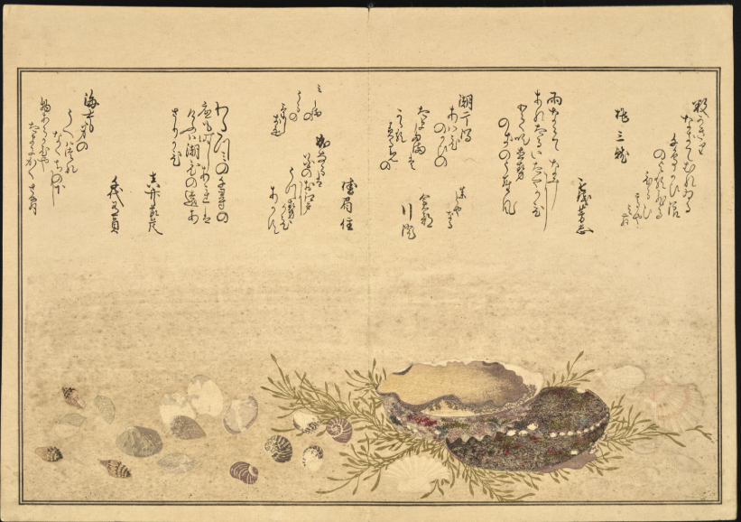 Richly colored illustration that is embellished with gold and sprinkled with mica, metal filings, and mother-of-pearl. Some motifs are embossed in the thick soft paper. In this book, thirty-six poems, referencing The Thirty-six Poets, cleverly allude to the illustrations of shells and aquatic plants purportedly collected on a somewhat magical trip to the beach by inebriated members of the Yaegaki poetry circle. 
