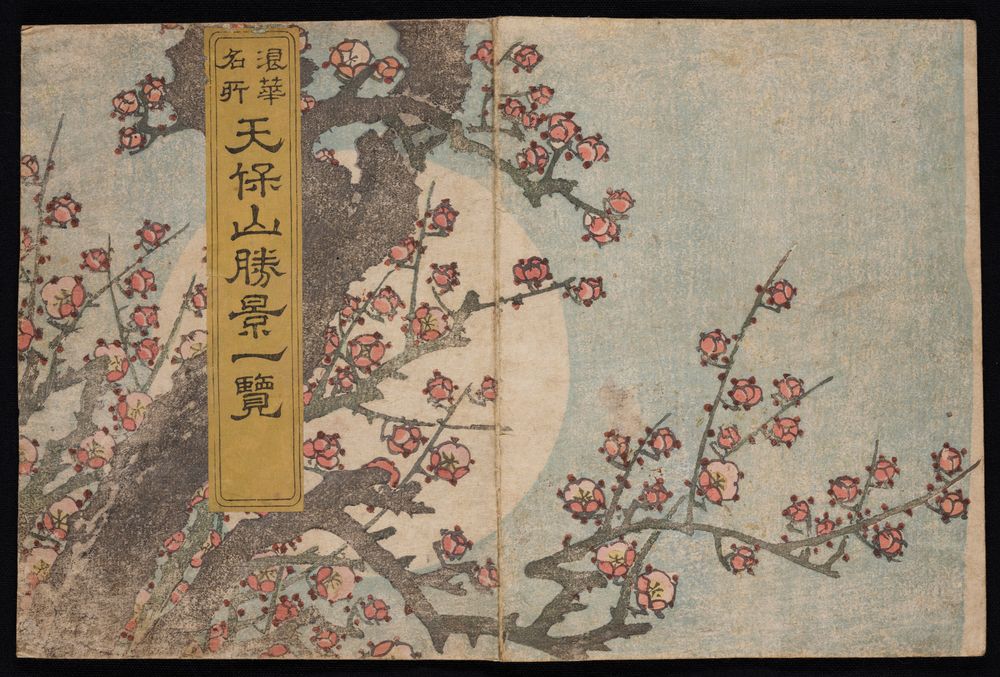 design of a plum tree in moonlight that spans the covers of this very lavishly produced publication. 