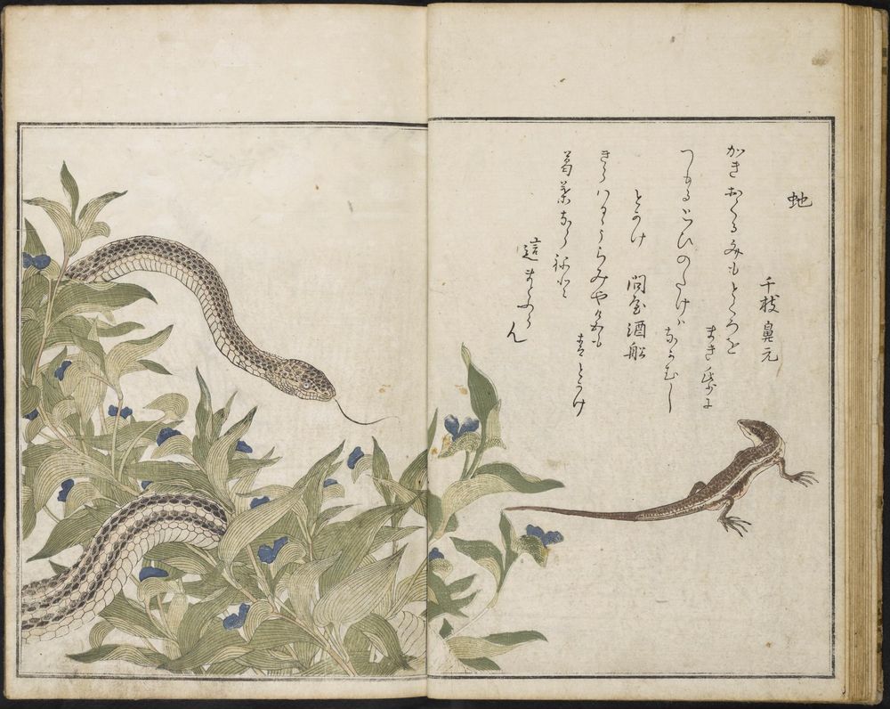 Color printing of a snake, glittering green due to the addition of crushed mica.